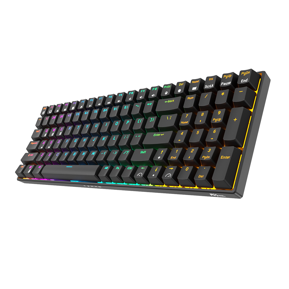 ROYAL KLUDGE RK100 Black, Brown Switch, US