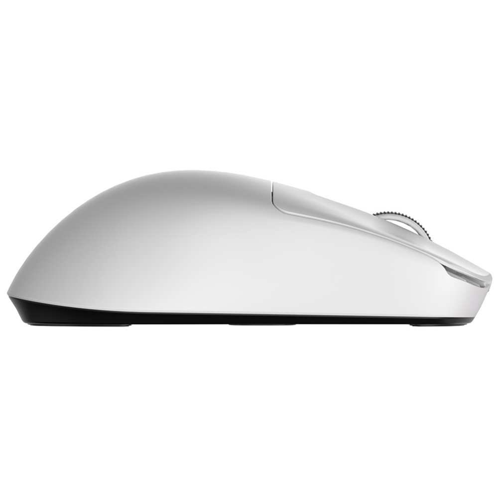 ROYAL KLUDGE M3 Wireless, Panda