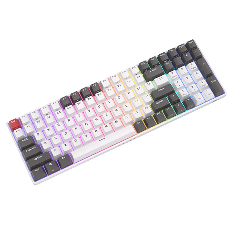 ROYAL KLUDGE RK100 White-Grey, Brown Switch, US