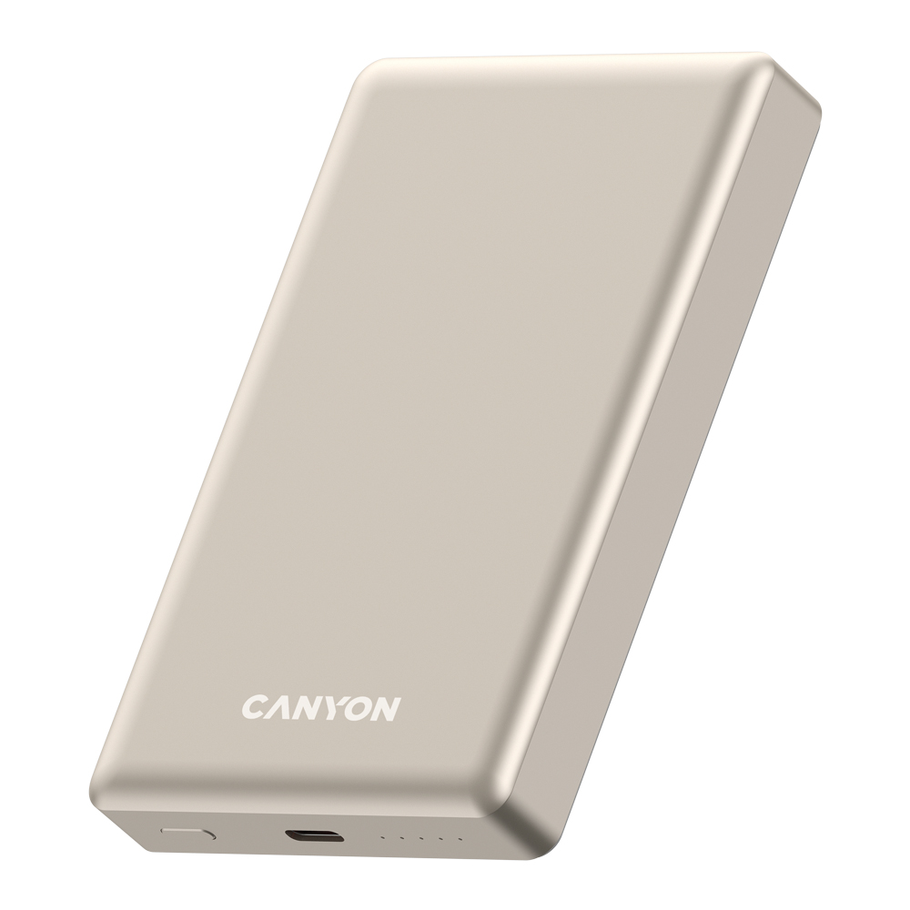Canyon OnPower 510, Beige