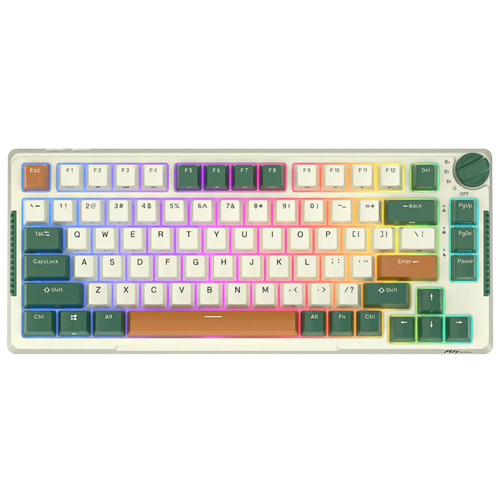 ROYAL KLUDGE H81 Timing Machine, Brown Switch, US